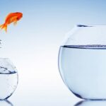 Definizione di Coaching