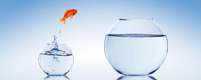 Definizione di Coaching