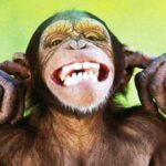 Imparare Ad Ascoltare