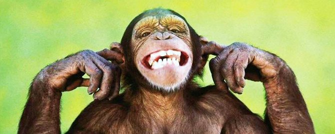 Imparare Ad Ascoltare