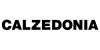 Logo-Calzedonia-300x150-BN.png
